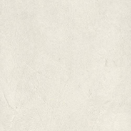 Аргиллит белый F649_1