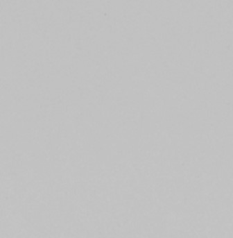 Light grey 1460_1