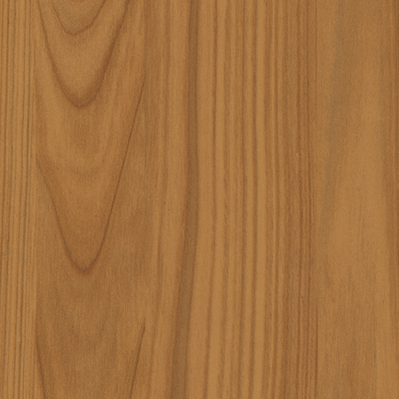 Вишня Локарно H1636_1