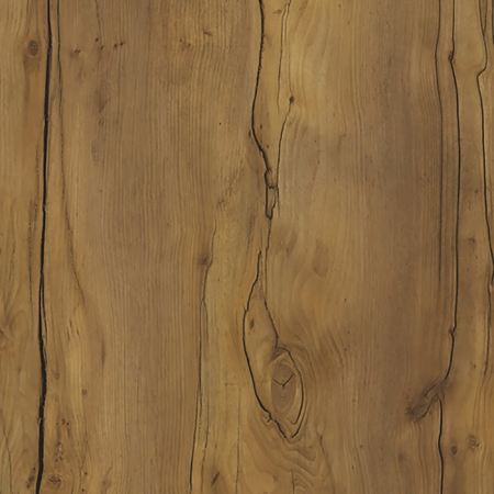 Таксония U31120_1