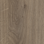 Дуб Денвер трюфель H1399_3