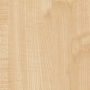 Клен Танзау U9520_2