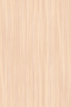 Дуб Девонширский_2