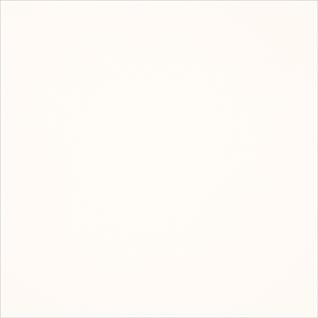 FENIX_0029_BIANCO_MALE