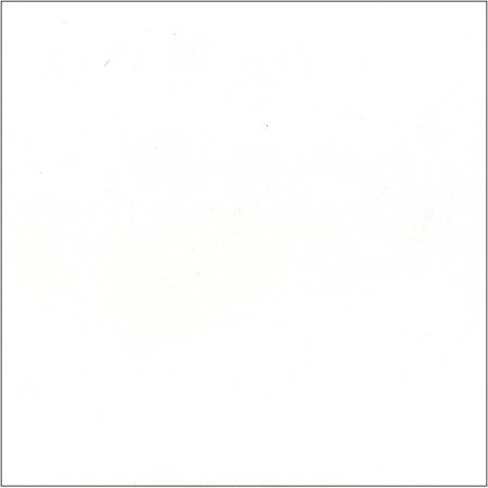 1111-S White