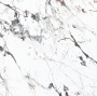 8130_6 Breccia Capraia