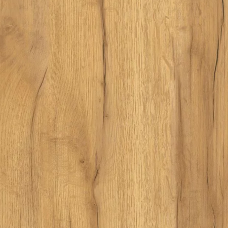 Дуб Золотистый U1148_1