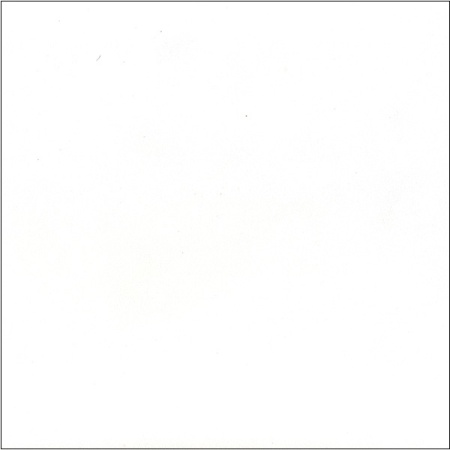 1111-S White