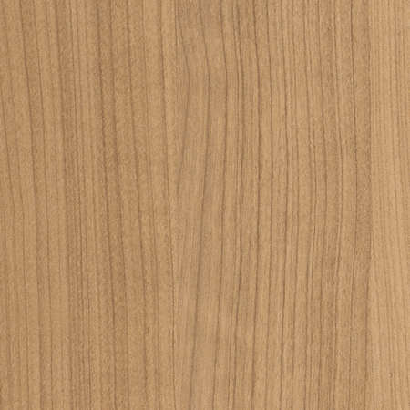 Вишня Верона H1615_1