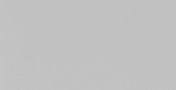 Light grey 1460_2