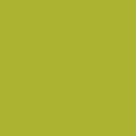 1067_6_Цитрус_A4