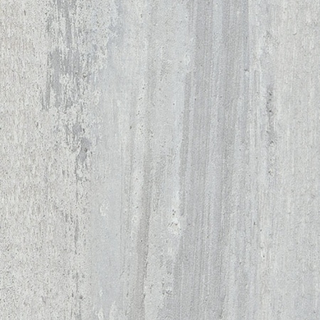 3853_S Дуб северный