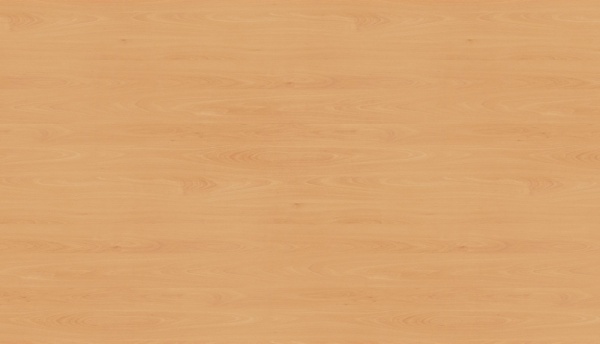 Бук Эльмау H1582_2