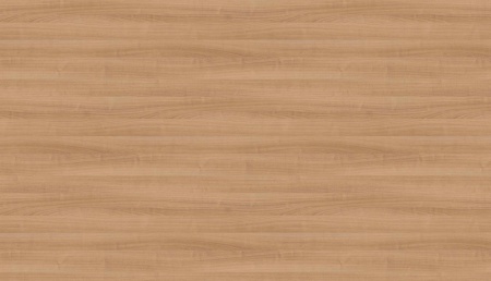 Вишня Верона H1615_2