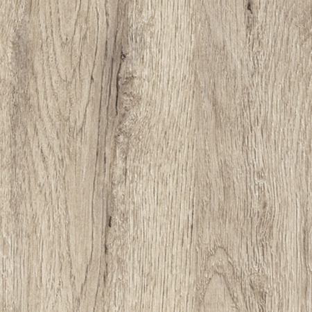 3852_P Дуб Корсика