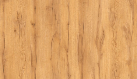 Дуб Золотистый U1148_2