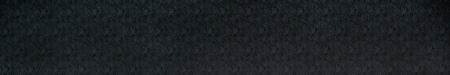 2_1_Serebryanyy_les