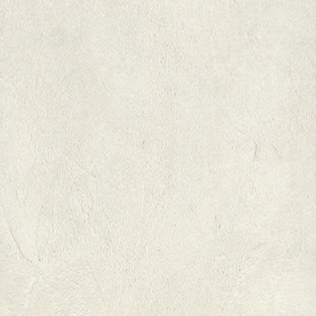 Аргиллит белый F649_1