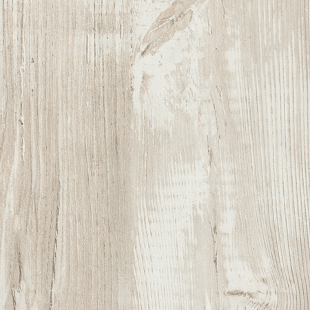 Сосна Касцина H1401_1