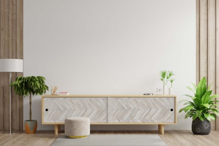 CABINETSANDWALLFORTVINLIVINGROOM