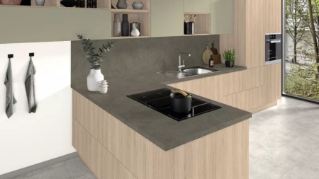 f251-st9-kamen-gavi-sero-korichnevyj3