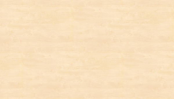 Берёза Майнау H1733_2