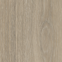 Дуб Лоренцо бежево-серый Н3146_3