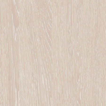 дуб атланта