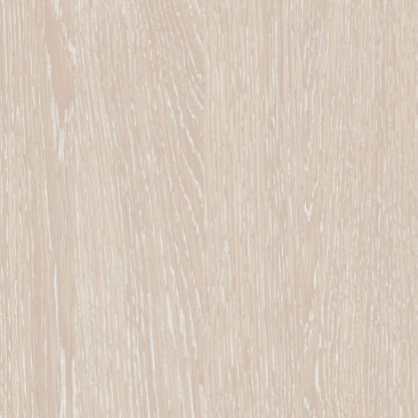 дуб атланта