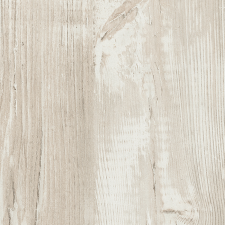 Сосна Касцина A1401_1