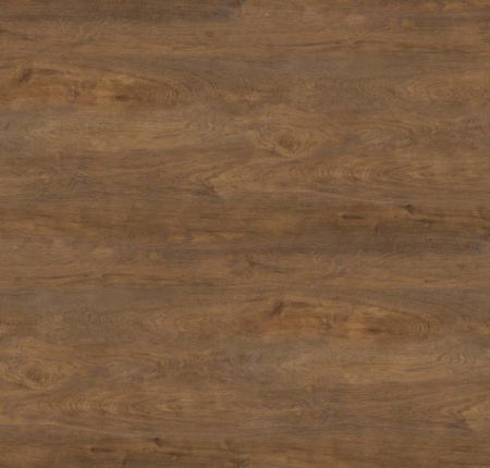 Baltimore Oak 8375_1