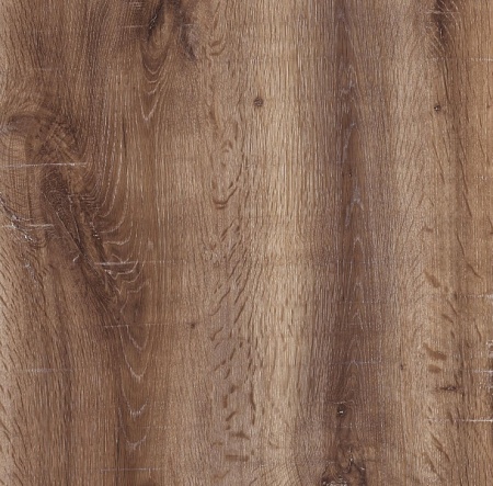 дуб сакраменто 3194