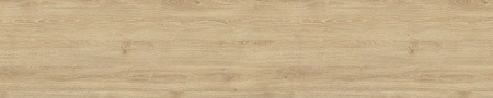 H3131_12_1024x588